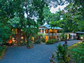 Red Mill House in Daintree - Great Ocean Road Tourism